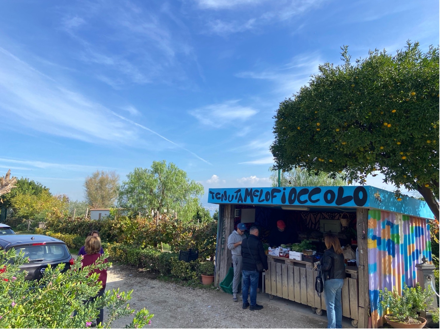 Napoli. Tenuta Melofioccolo, fattoria e agricoltura sostenibile sulla collina di Posillipo