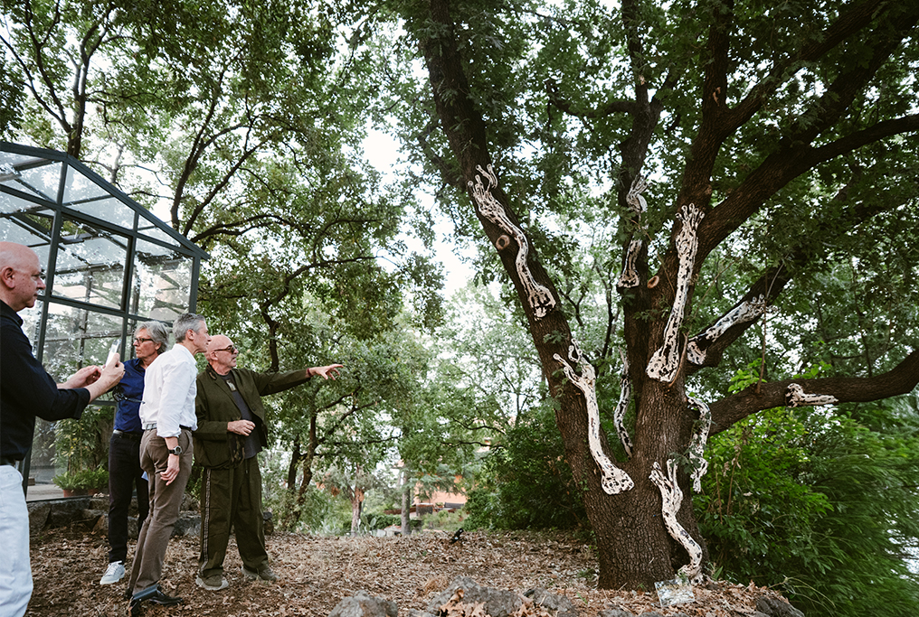 Tenute Ballasanti inaugura il Parco Artistico permanente