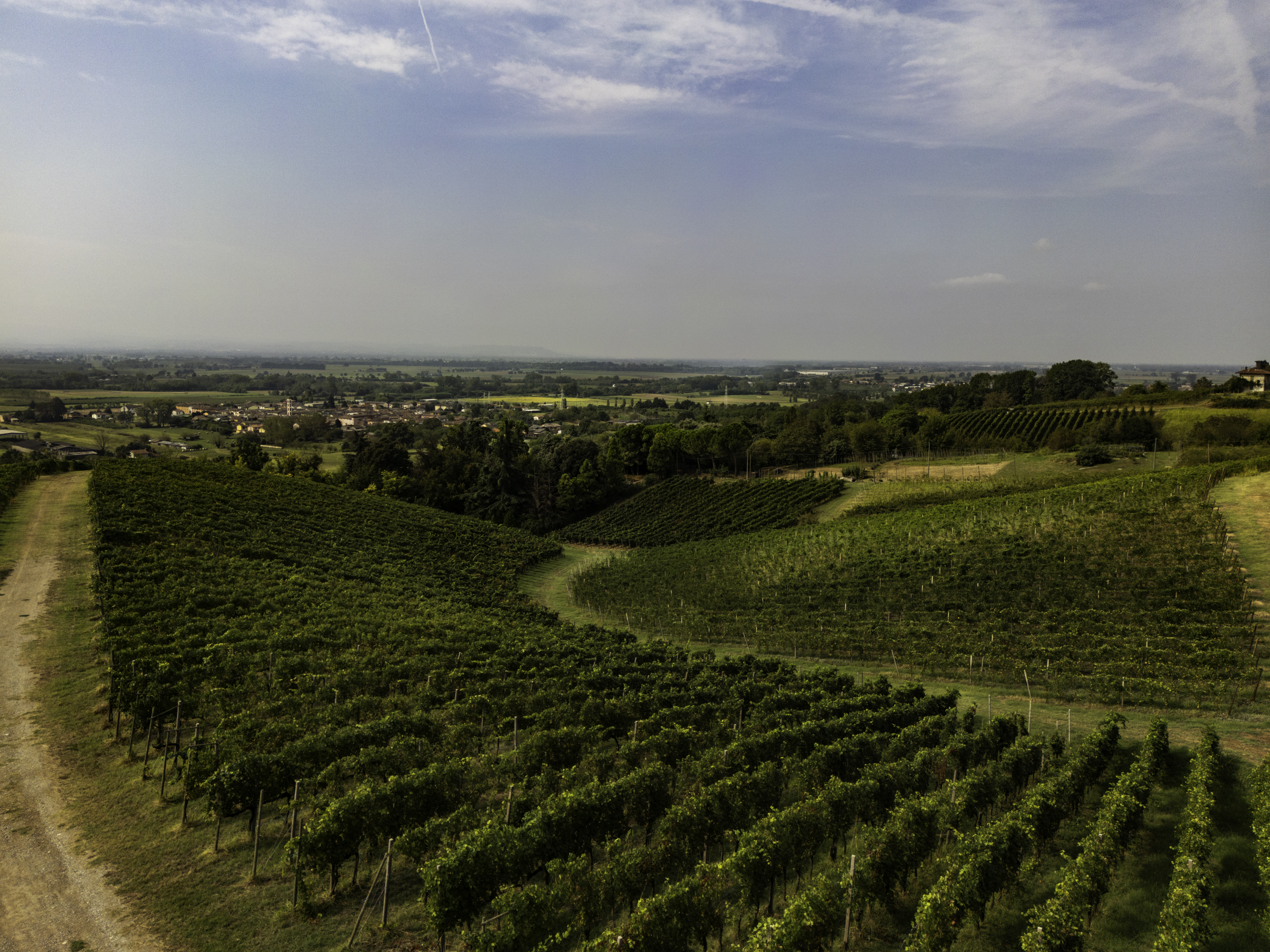 Dove nasce il “vino di Milano”