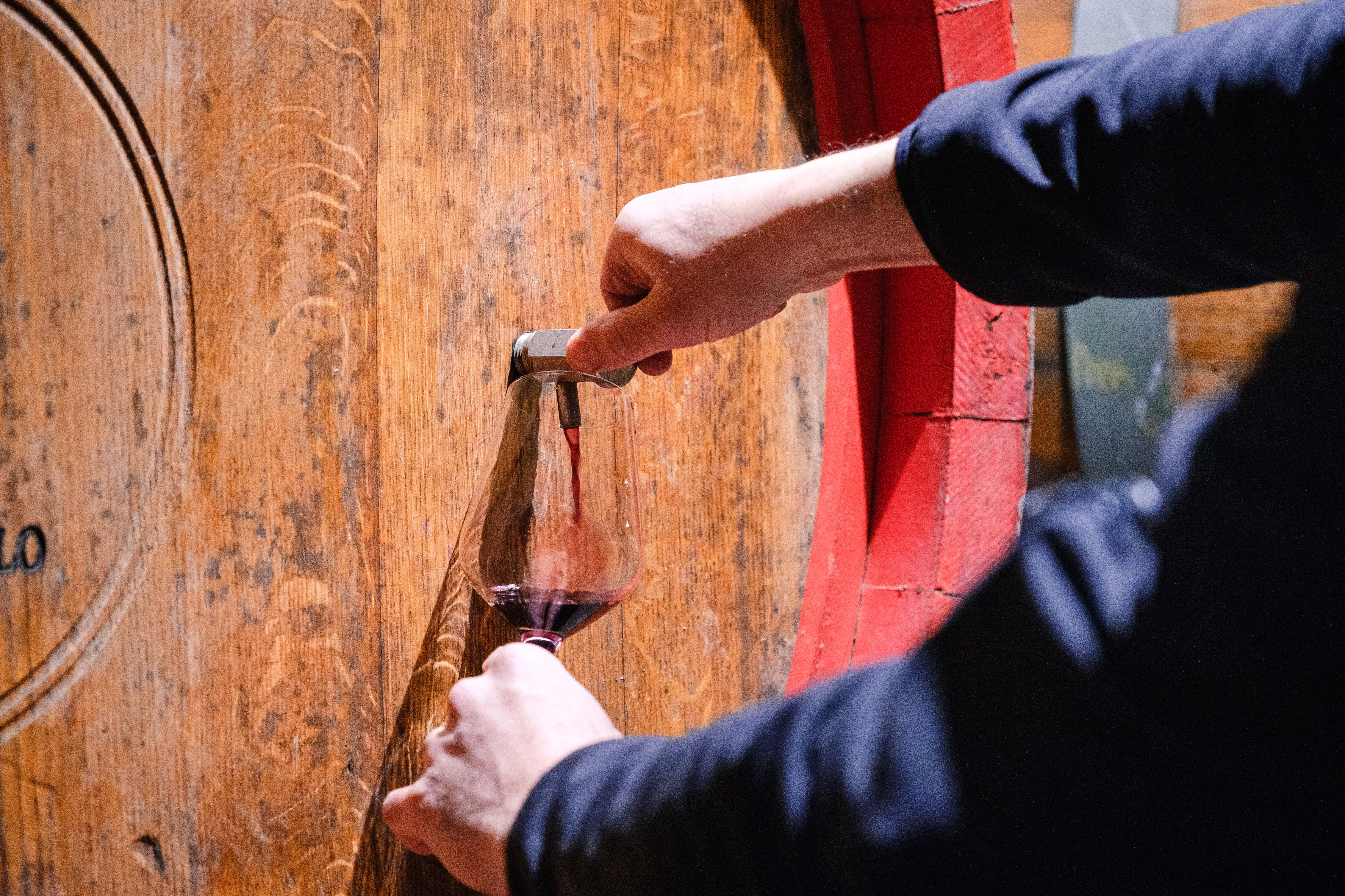 Cantine Aperte a San Martino 2026: il sapore dell’autunno e il valore del tempo lento
