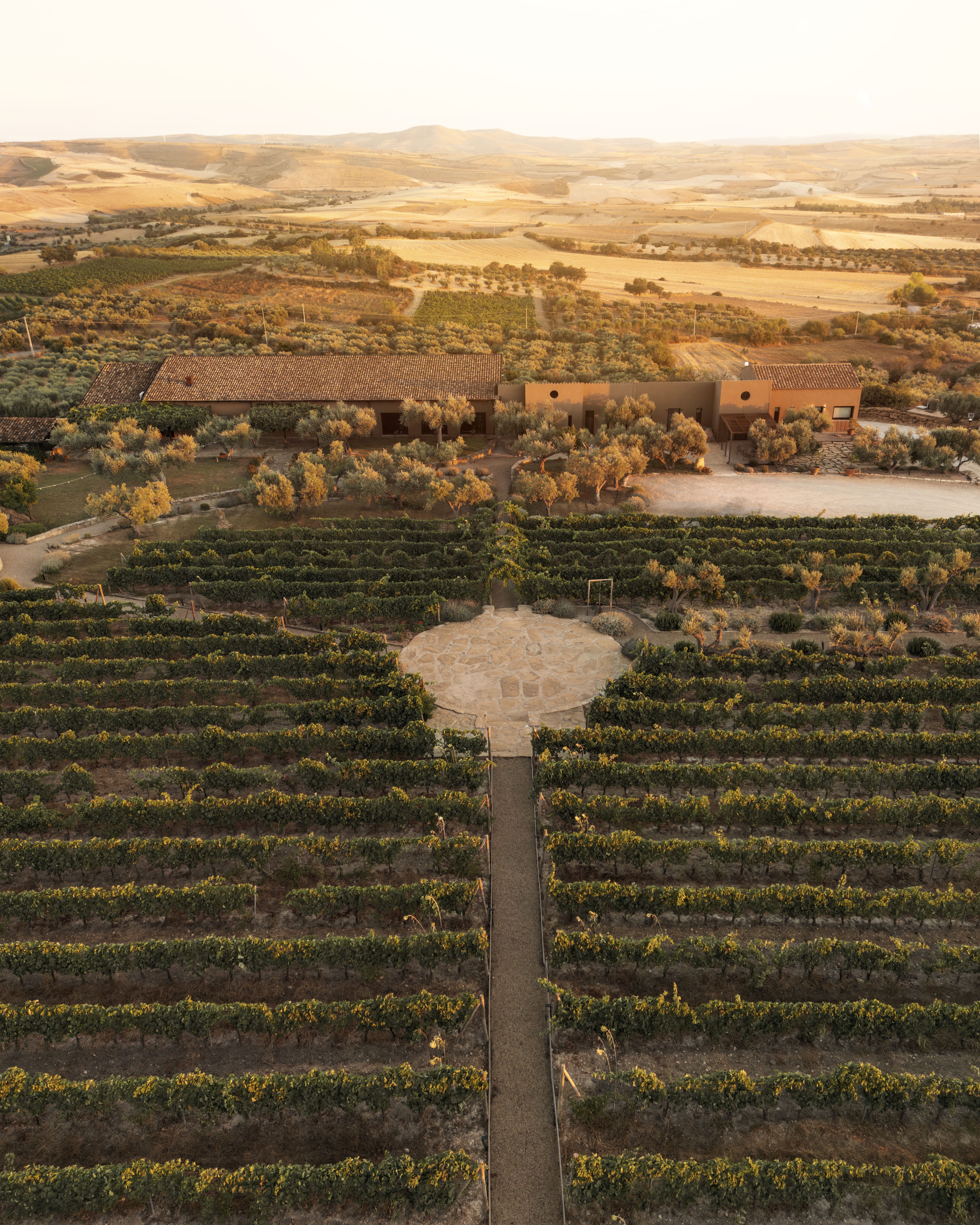 Il Sarcidano in anfora: l’autenticità del vino secondo Olianas